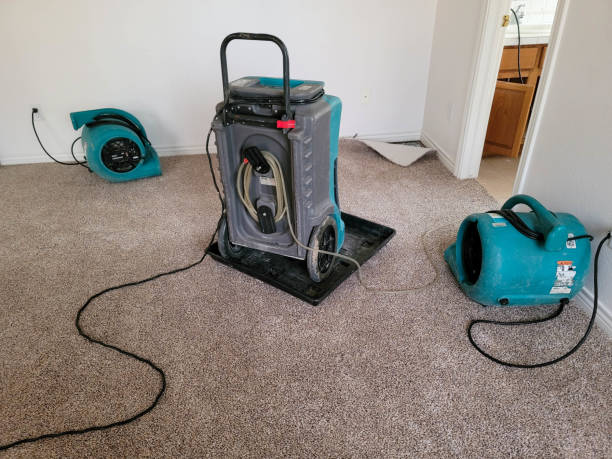 Best Fire Damage Restoration  in Bent Creek, NC
