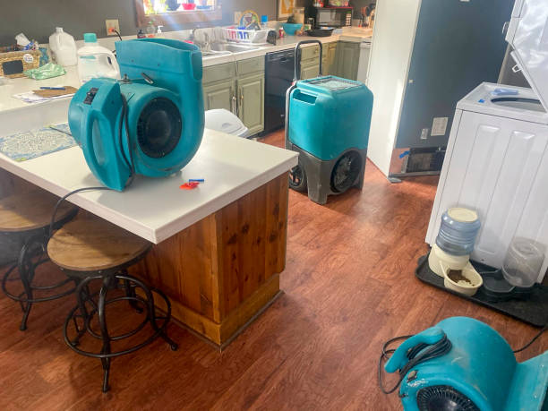 Best Water damage restoration near me  in Bent Creek, NC