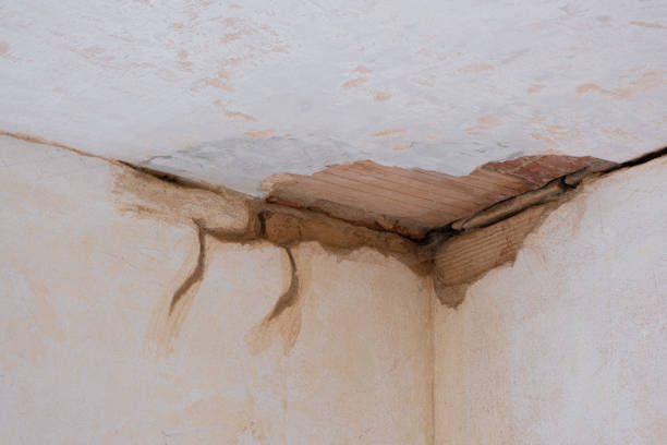 Best Water damage restoration near me  in Bent Creek, NC