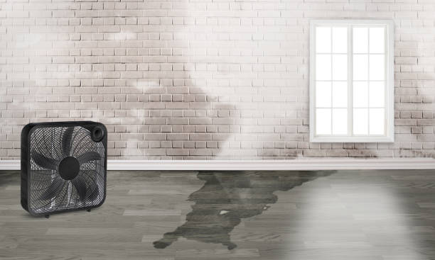  Bent Creek, NC Water damage restoration Pros