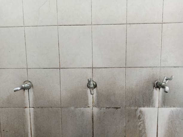 Sewage cleanup and water damage restoration in NC