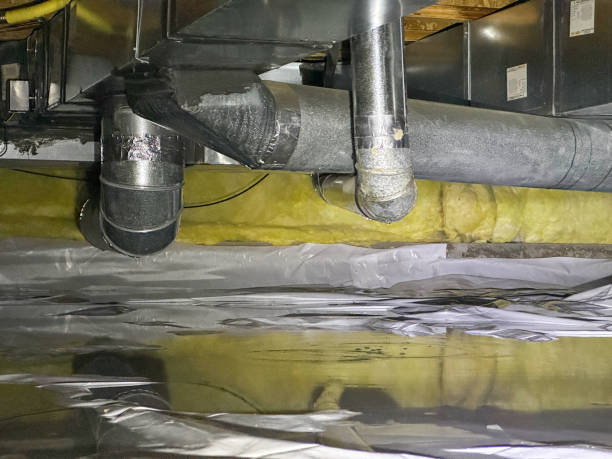 Best Flood damage cleanup  in Bent Creek, NC