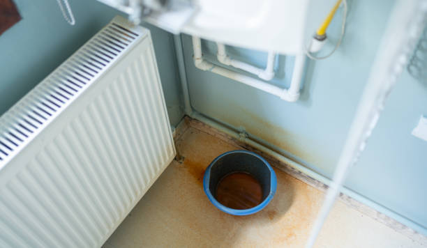 Best Professional water damage repair  in Bent Creek, NC