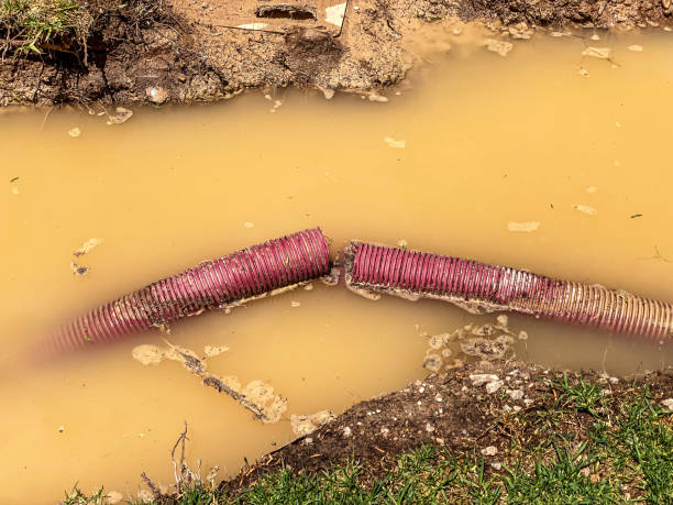 Water damage restoration insurance claims in NC